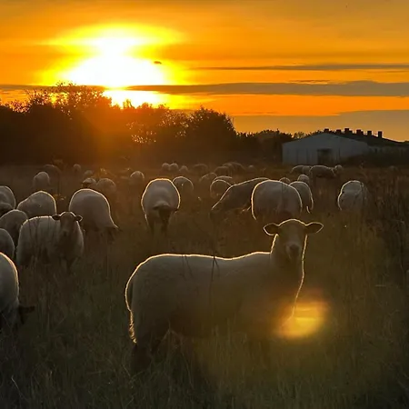 Haffhaeuser Am Stettiner Haff Haus 1 We 5 Golf Special Buchbar Daire Garz (Usedom)